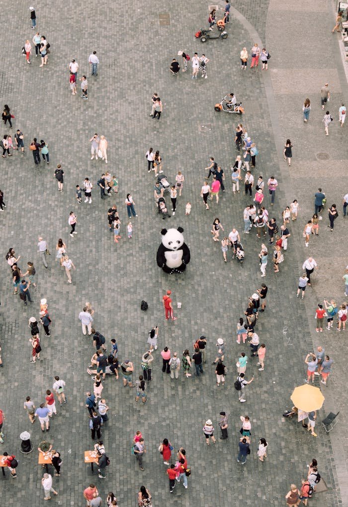 Aerial shot of a bustling city square with a panda mascot and street performers engaging a crowd.
